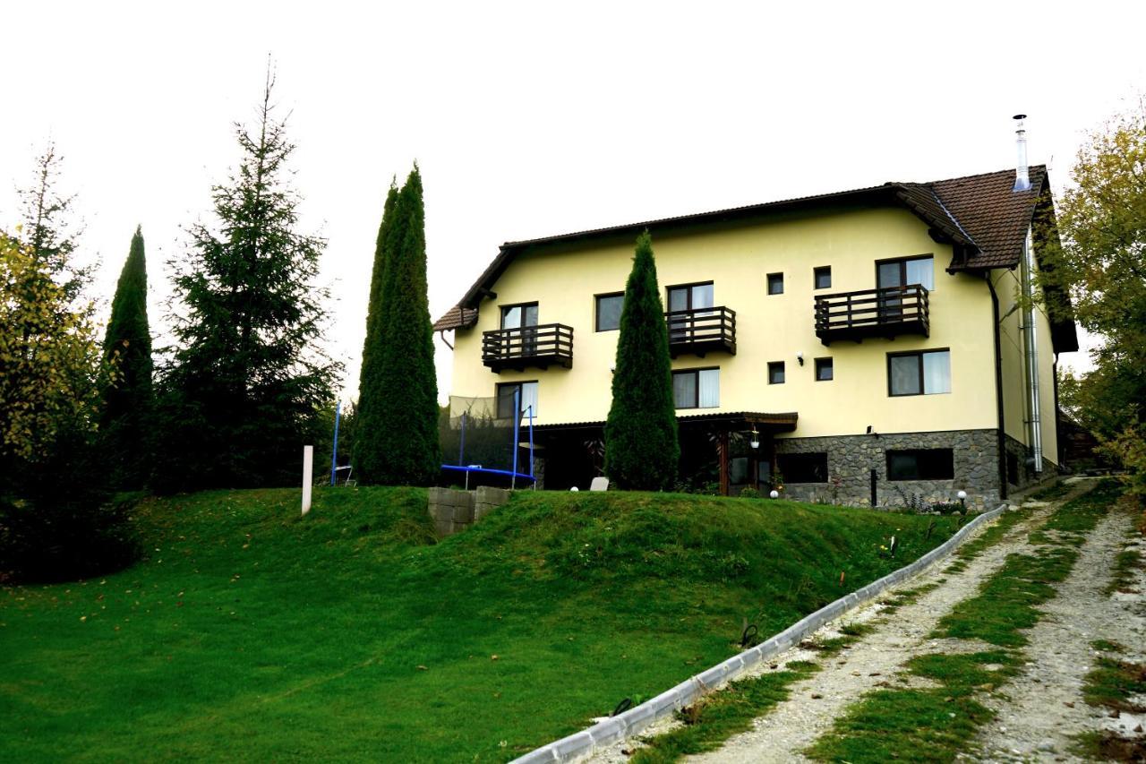 Vila Sohodol Travel Бран Экстерьер фото