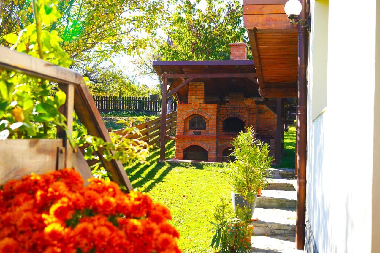 Vila Sohodol Travel Бран Экстерьер фото